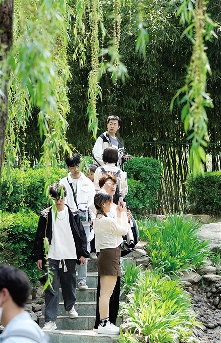 电瓶车最新政策，引领温馨旅程的变革之道