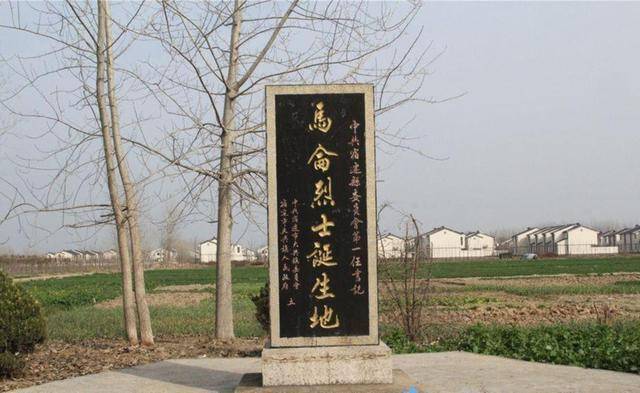 红蜻蜓探秘之旅，追寻自然美景，启程内心平静的力量