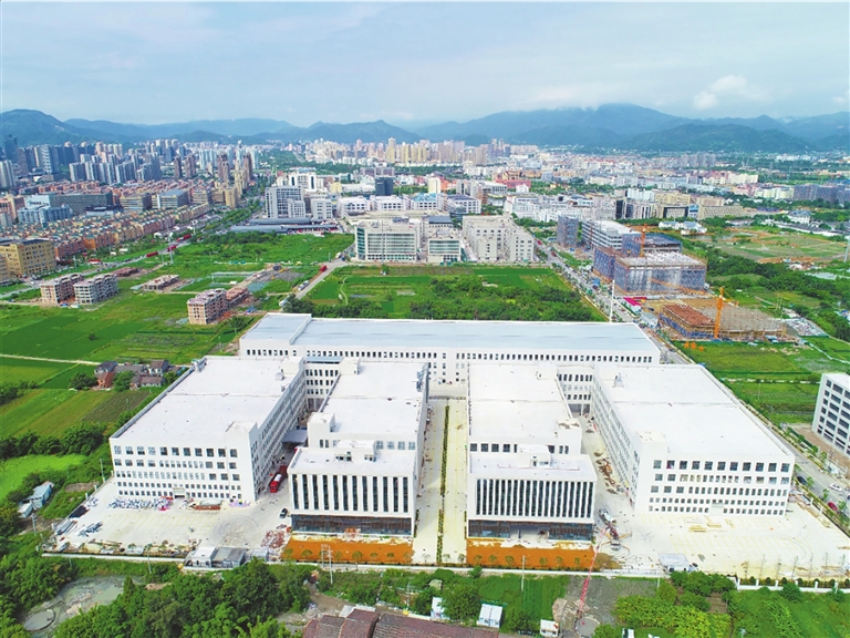 苍南今日新闻与最新消息概述