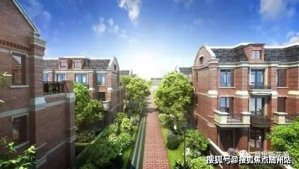 山东退休金最新消息展望与解析，政策更新及未来趋势解析
